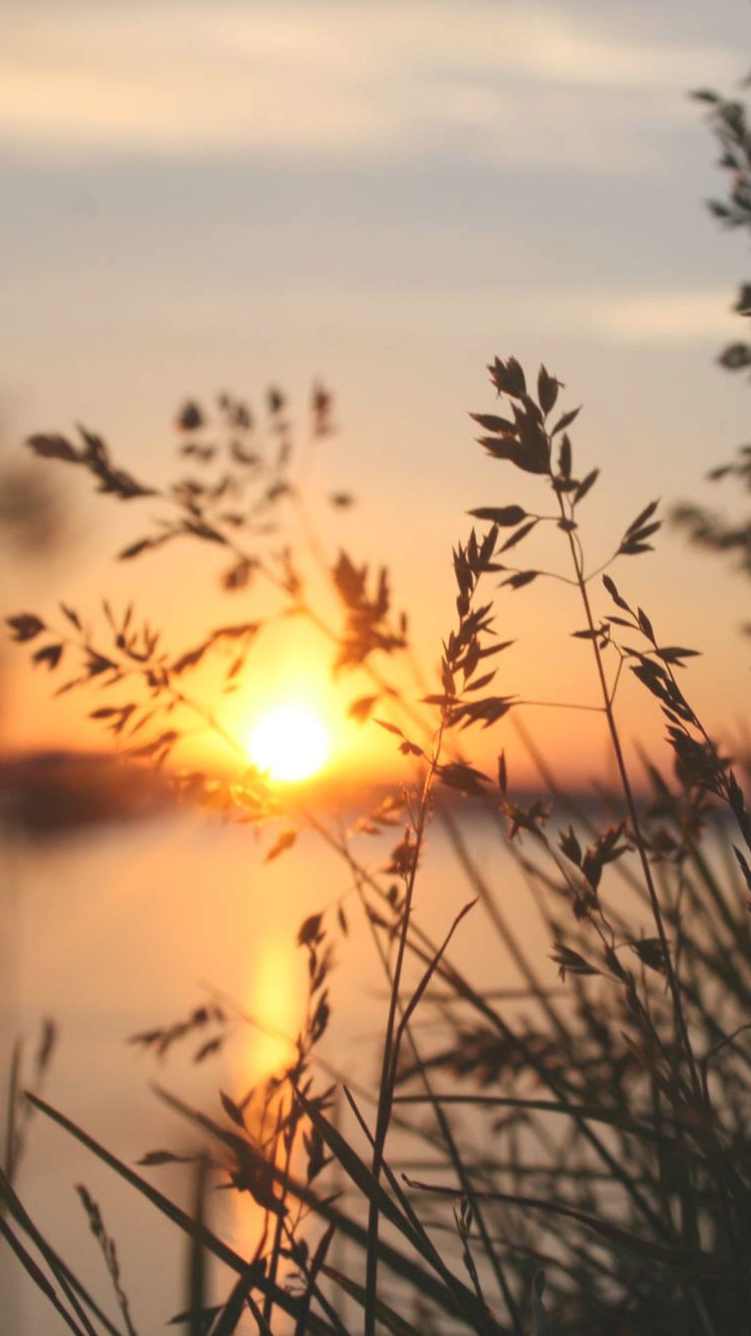 Die Bedeutung der Sonnengrüße